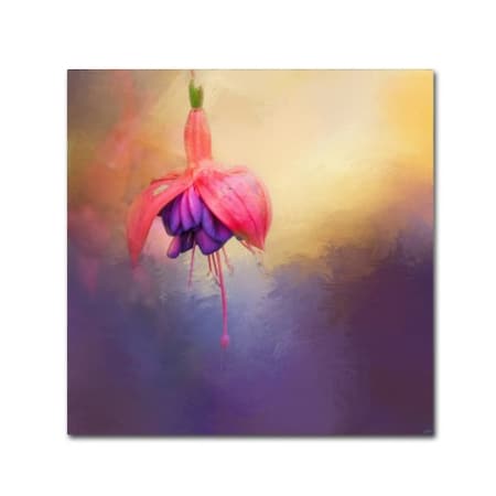 Jai Johnson 'Fuchsia Drop' Canvas Art,18x18